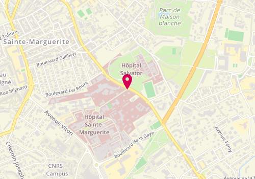 Plan de LOPÉZ Ophélie, 270 Boulevard de Sainte Marguerite, 13009 Marseille