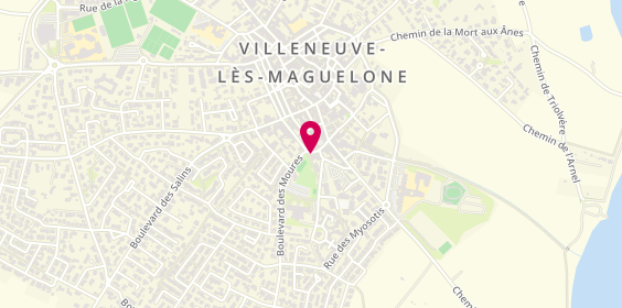 Plan de FLUIXA Clémentine, 154 Boulevard Chasselas, 34750 Villeneuve-lès-Maguelone