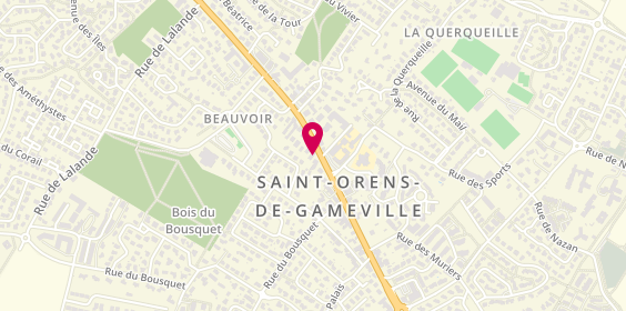 Plan de ZAOUCHE Olivier, 36 Avenue de Gameville, 31650 Saint-Orens-de-Gameville