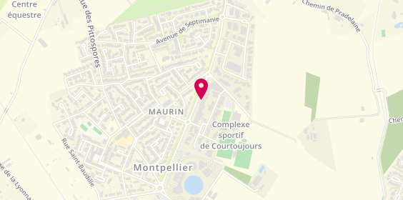Plan de PALLESI Chloé, 527 Avenue du Montpellieret, 34970 Lattes