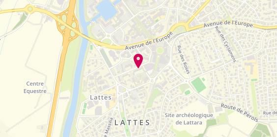 Plan de PATAU Nicolas, Rue des Narcisses, 34970 Lattes