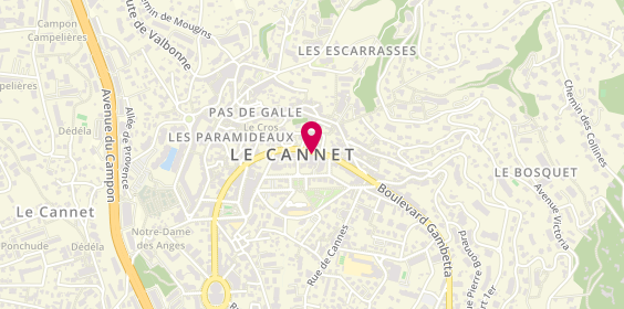 Plan de PICAVEZ Philippe, 21 Boulevard Sadi Carnot, 06110 Le Cannet