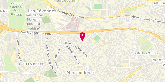 Plan de LOZANO Jordi, 1 Rue de la Cite Verdier, 34070 Montpellier