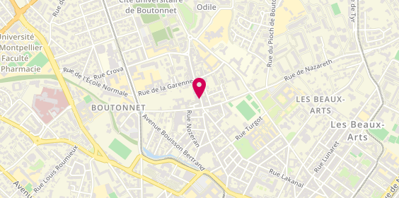Plan de LIBES Françoise, 61 Rue du Faubourg Boutonnet, 34090 Montpellier