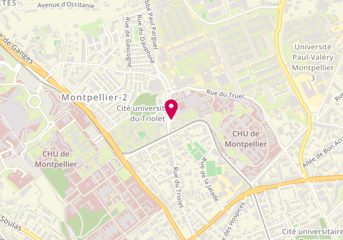 Plan de VANALDERWIERT Aurélie, 80 Avenue Augustin Fliche, 34000 Montpellier