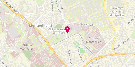 Plan de PUJOL LLATSE Xavier, 80 Avenue Augustin Fliche, 34295 Montpellier