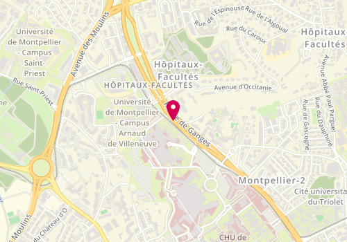 Plan de MAGURNO-REMY Emmanuel, 191 Avenue Doyen Gaston Giraud, 34295 Montpellier