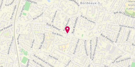 Plan de CASTELLI Nicolas, 290 Rue Pasteur, 33200 Bordeaux