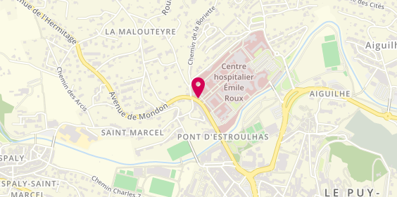 Plan de LARONCE Alicia, 12 Boulevard du Dr Chantemesse, 43012 Le Puy-en-Velay