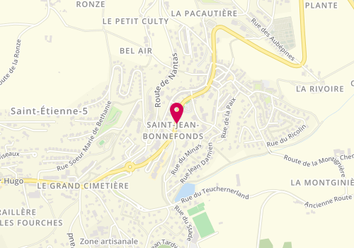 Plan de NICOLAY Ludovic, 19 Rue Aristide Briand, 42650 Saint-Jean-Bonnefonds