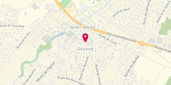 Plan de AMARENCO Sophie, 155 Route des Ecoles, 74410 Saint-Jorioz