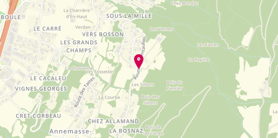Plan de PELLE Wilfrid, 405 Route de Montauban, 74140 Saint-Cergues