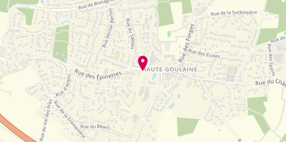 Plan de GINGUE Catherine, 4 Rue des Epinettes, 44115 Haute-Goulaine