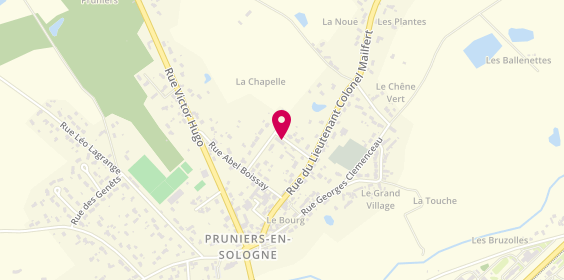 Plan de VIEILLESCAZES Julie, 106 Rue des Jardins, 41200 Pruniers-en-Sologne