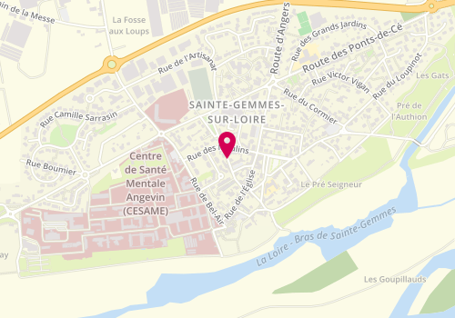 Plan de CORDE Muriel, 8 Bis Rue de L 'Abbé Biotteau, 49130 Sainte-Gemmes-sur-Loire
