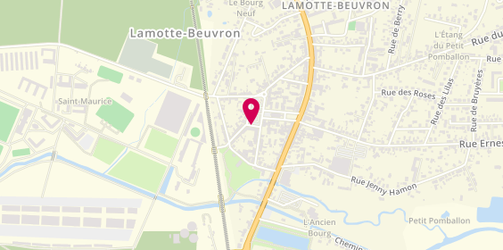 Plan de DUARD Stanislas, 10 Rue du Marche, 41600 Lamotte-Beuvron