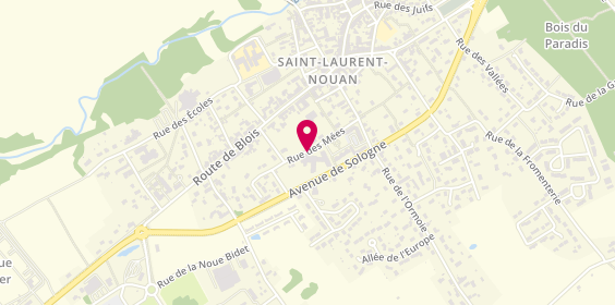 Plan de GIGOUT Tristan, 5 Rue des Mees, 41220 Saint-Laurent-Nouan