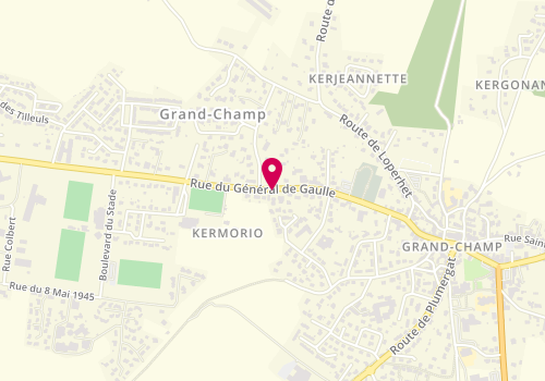 Plan de LE MOINE Anita, 55 Rue du Géneral de Gaulle, 56390 Grand-Champ