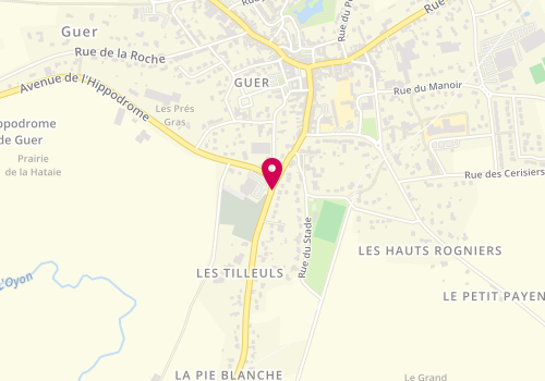 Plan de MORIN Sabine, 1 Bis Rue des Tilleuls, 56380 Guer