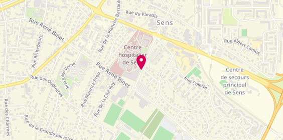 Plan de DOMINGUEZ COELLO Rosa, 1 Avenue Pierre de Coubertin, 89108 Sens