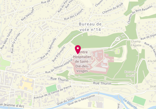 Plan de NOËL Ariane, 26 Rue du Nouvel Hopital, 88100 Saint-Dié-des-Vosges