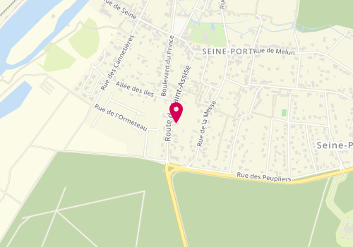 Plan de MARTIN-ALONSO Elisa, 25 Route de Sainte Assise, 77240 Seine-Port