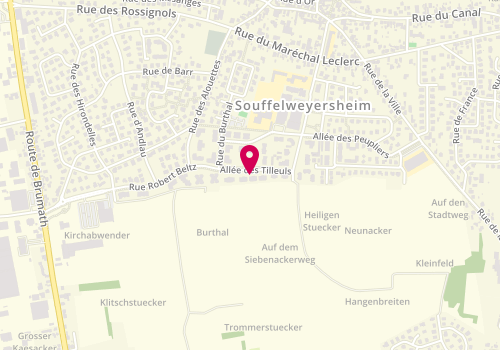 Plan de CHANTELOUP Christine, 7 Allée des Tilleuls, 67460 Souffelweyersheim