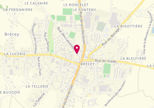 Plan de HAMELIN Vincent, 3 Rue des Lavandières, 50370 Brécey
