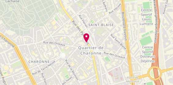 Plan de MIMIAGUE Caroline, 119 Rue des Pyrenees, 75020 Paris