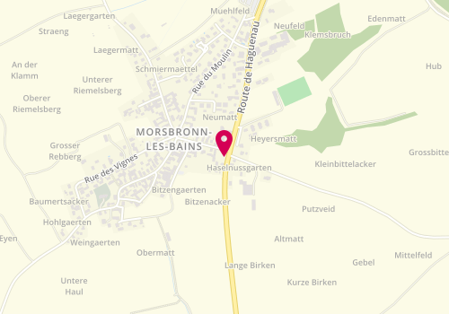 Plan de BREINIG-BALET Marion, 54 Bis Route de Haguenau, 67360 Morsbronn-les-Bains