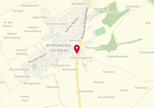 Plan de WEISS Marie, 54 Route de Haguenau, 67360 Morsbronn-les-Bains