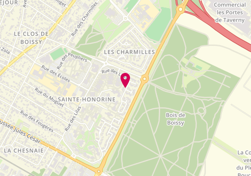 Plan de BUTIN Coralie, 31 Rue des Lilas, 95150 Taverny