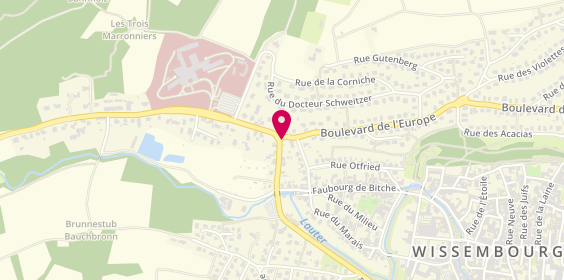 Plan de RICHTER Christine, 24 Route de Weiler, 67166 Wissembourg