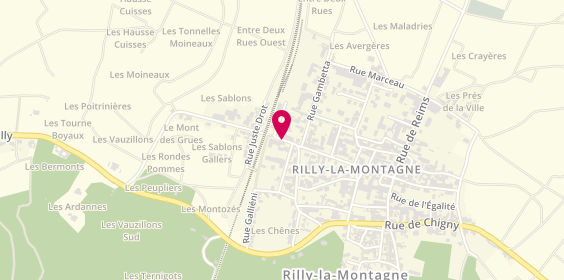 Plan de CASTELLAIN Emilie, 4 Rue de Chigny, 51500 Rilly-la-Montagne