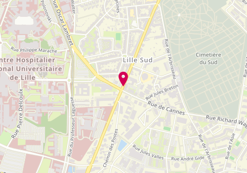 Plan de LACHEREZ Juliette, 293 Rue du Faubourg des Postes, 59000 Lille